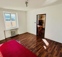 Ein Zimmer mit einem Holzboden und Blick in die Küche in einer Einzimmerwohnung.