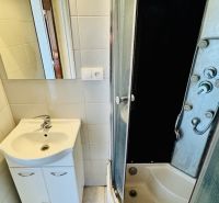 Badezimmer mit Waschbecken und Duschkabine in einer Einzimmerwohnung.