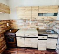 Küche in einer Einzimmerwohnung mit Holzelementen und Steinwandverkleidung.