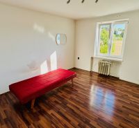 Einfaches Interieur einer Einzimmerwohnung mit Holzboden und rotem Sofa.