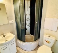 Badezimmer mit Dusche, Waschbecken und Toilette in einer Einzimmerwohnung.