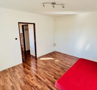 Ein Zimmer in einer Einzimmerwohnung mit einer roten Matratze und einem Boden in Holzoptik.