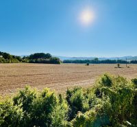 Ein weites Feld in Malé Kršteňany unter blauem Himmel, umgeben von Grün und Sonne.