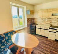 Küche in einer Einzimmerwohnung mit Küchenzeile, Holzboden und Aussicht.