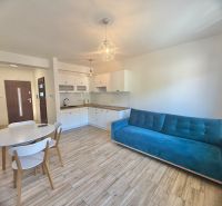 Küche in einer Einzimmerwohnung mit Holzboden, weißen Möbeln und einem blauen Sofa.