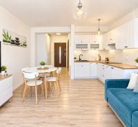 Wohnzimmer und Küche in einer Einzimmerwohnung mit Holzboden.