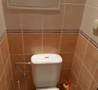 Badezimmer mit Toilette in einer 2-Zimmer-Wohnung, helle Fliesen, Reinigungsmittel, Spülkasten.