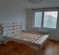 Helles Schlafzimmer mit Holzbett und Boden in Holzoptik in einer 2-Zimmer-Wohnung.