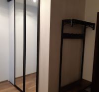 Spiegelschrank und Garderobenwand in einer 2-Zimmer-Wohnung mit Holzboden.