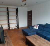Wohnzimmer mit blauem Sofa, Fernseher und Regalen in einer Zweizimmerwohnung, Holzboden mit Holzdekor.