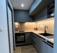 Küche in einer Einzimmerwohnung mit Holzdekorboden, graue Schränke, schwarzes Spülbecken.