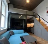 Wohnzimmer mit blauem Sofa und Treppe in einem Einzimmerapartment.
