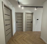 Innenraum einer 4-Zimmer-Wohnung mit Holzboden und modernen Türen.