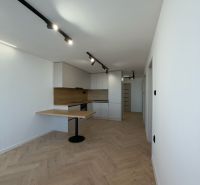 Ein Zimmer mit Holzboden, Kochnische und Beleuchtung, 4-Zimmer-Wohnung.