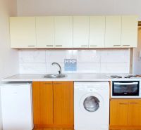 Einzimmerwohnung mit Küchenzeile, Holzboden und Geräten.