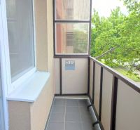 Ein verglaster Balkon mit Blick ins Grüne, der zu einem Einzimmerapartment gehört.
