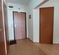 Der Flur in einer 3-Zimmer-Wohnung mit einem Boden in Holzoptik und Türen.