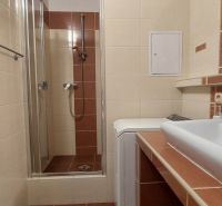 Das Badezimmer in der 3-Zimmer-Wohnung hat eine Dusche, ein Waschbecken und eine Waschmaschine.