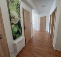 Der Flur in einer 3-Zimmer-Wohnung mit einem Boden in Holzoptik und einem Bild von einer Pusteblume.