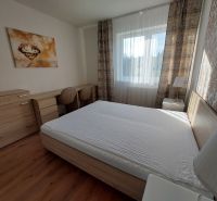 Schlafzimmer mit einem großen Bett, einem Boden mit Holzdekor und einem dekorativen Bild in einer 3-Zimmer-Wohnung.