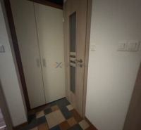 Der Flur in der 2-Zimmer-Wohnung mit einem Boden in Holzoptik und einem Einbauschrank.