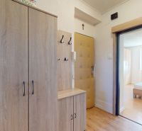 Eingangsbereich einer 2-Zimmer-Wohnung mit Holzdekor und Schrank.