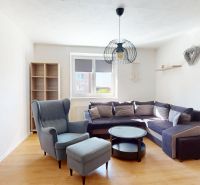 Wohnzimmer einer Zweizimmerwohnung mit Holzboden, Sofa und Sessel.
