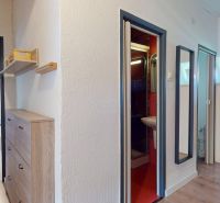 Flur mit Holzdekorboden, Esstisch und Eingang zum Badezimmer in einer 2-Zimmer-Wohnung.