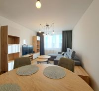 Wohnzimmer in einer Zweizimmerwohnung mit Holzboden und grauem Sofa.