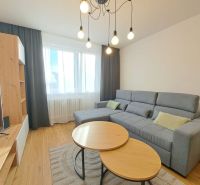 Helles Wohnzimmer in einer Zweizimmerwohnung mit einem bequemen Sofa und einem Boden in Holzoptik.