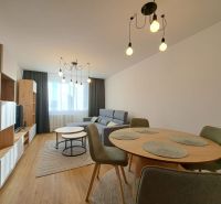 Wohnzimmer in einer 2-Zimmer-Wohnung mit einem bequemen Sofa und einem Boden in Holzoptik.