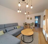 Wohnzimmer mit Sofa, Holzboden und Esstisch in einer Zweizimmerwohnung.