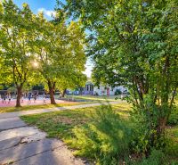 Park mit Grünflächen und Gehweg neben dem Sportplatz in der Straße Za hradbami in Pezinok.