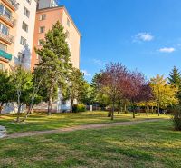 Plattenbau umgeben von Grün auf der Straße Za hradbami, Pezinok, geeignet für eine 3-Zimmer-Wohnung.