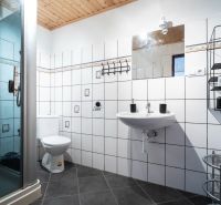 Badezimmer mit Toilette und Duschkabine, Hotels und Pensionen, Fliesen mit dekorativem Muster.