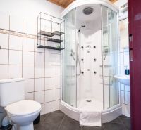 Badezimmer mit Toilette und Dusche in Hotels und Pensionen.