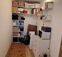 Ein kompakter Raum mit Regalen, einem Schrank und einem Boden in Holzoptik in einer 3-Zimmer-Wohnung.