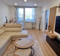 Gemütliches Wohnzimmer in einer 3-Zimmer-Wohnung mit Holzboden.