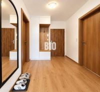 Heller Flur mit Holzdekorboden und großem Spiegel in einer 2-Zimmer-Wohnung.