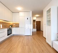 Küche in einer 2-Zimmer-Wohnung mit weißer Küchenzeile und Boden in Holzoptik.