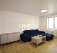 Wohnzimmer in einer 2-Zimmer-Wohnung mit Sofa, Kommode und Boden in Holzoptik.