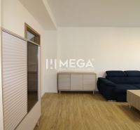Wohnzimmer mit Holzboden, blauer Couchgarnitur und Möbeln in einer Zweizimmerwohnung.