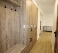 Flur mit Einbauschrank und Boden in Holzoptik in einer 2-Zimmer-Wohnung.