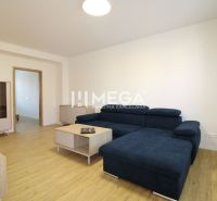 Wohnzimmer in einer 2-Zimmer-Wohnung mit Sofa, Möbeln und Boden in Holzoptik.