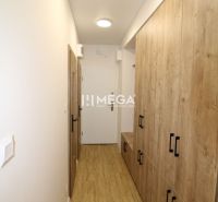Flur mit Holzboden und Einbauschränken in einer 2-Zimmer-Wohnung.