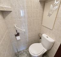 Toilette mit Keramikfliesen und Schmetterlingsmotiv in einer 3-Zimmer-Wohnung.