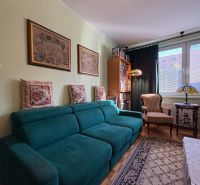 Wohnzimmer in einer 3-Zimmer-Wohnung mit einer türkisfarbenen Couch und dekorativen Kissen.