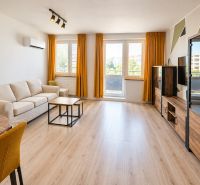 Wohnzimmer mit Sofa und Holzboden in einer Zweizimmerwohnung.