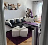 Gemütliches Wohnzimmer mit Holzboden in einer begehrten 2-Zimmer-Wohnung.