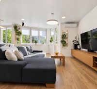 Wohnzimmer in einer 3-Zimmer-Wohnung mit Sofa, Fernseher, Pflanzen und Boden in Holzoptik.